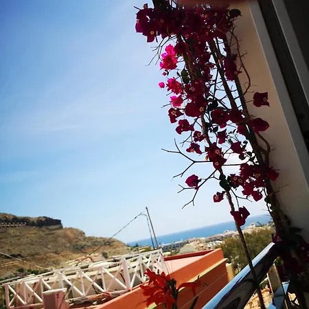 Sonneland Apartment Puerto De Mogan